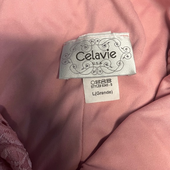 Celavie Lace Dress - Picture 4 of 5